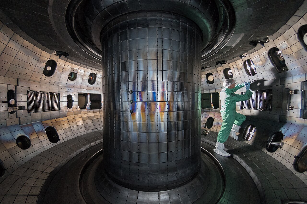 Interior of a tokamak fusion reactor vessel